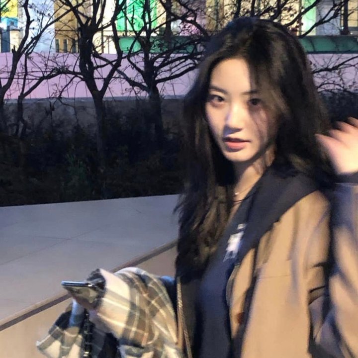王牌总裁霸王花
